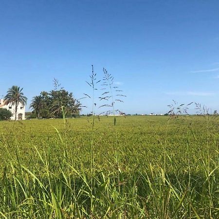 Albergue Delta L'Eucaliptus المظهر الخارجي الصورة