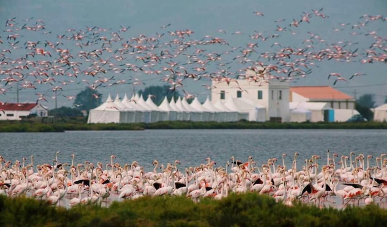 Albergue Delta L'Eucaliptus المظهر الخارجي الصورة